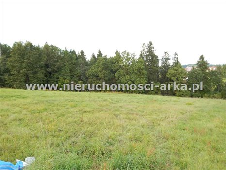 Działka budowlana na sprzedaż Rabka-Zdrój 4 100m2 Foto 4