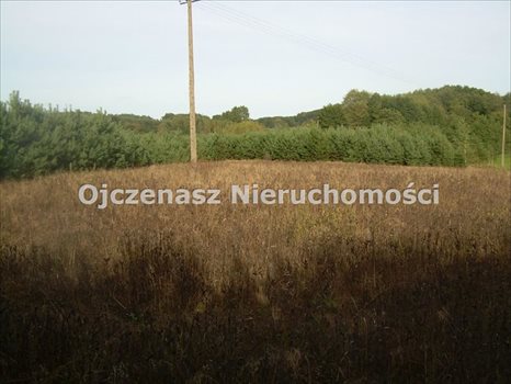 Działka leśna na sprzedaż Sąpolno 23 300m2 Foto 3
