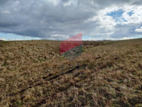 Działka budowlana na sprzedaż Pręgowo, prof. Bronisława Bukowskiego 9 164m2 Foto 4