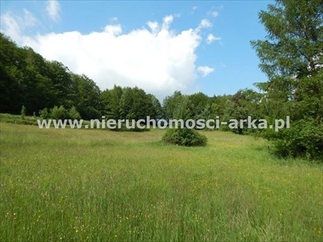 Działka budowlana na sprzedaż Mszana Dolna 1 800m2 Foto 2