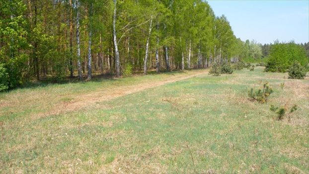Działka budowlana na sprzedaż Sulejów, Sulejów, Ustronna 1 000m2 Foto 5