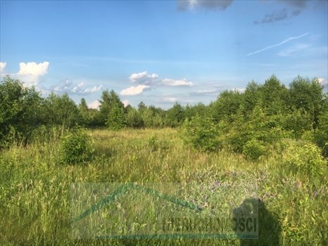 Działka budowlana na sprzedaż Dosin, działka budowlana do zabudowy jednorodzinnej i usług nieucią 900m2 Foto 8
