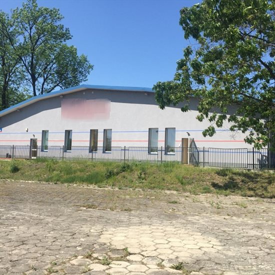 Lokal użytkowy na sprzedaż Glina 957m2 Foto 4
