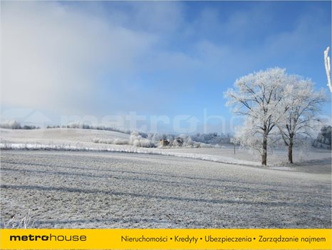 Działka rolna na sprzedaż Łomy, Jonkowo 5 500m2 Foto 4