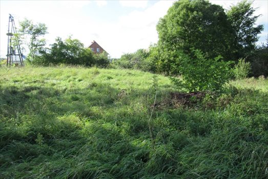 Działka siedliskowa na sprzedaż Krokocie 3 591m2 Foto 8