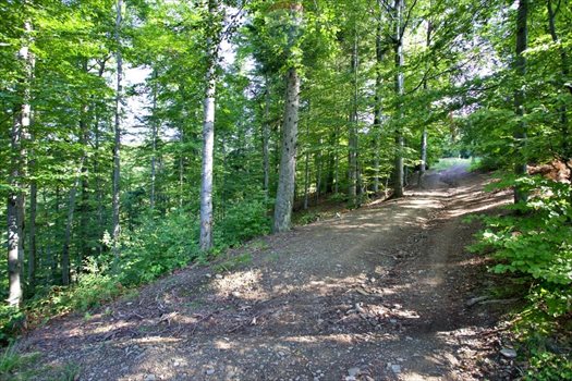 Działka inwestycyjna na sprzedaż Międzybrodzie Żywieckie 5 596m2 Foto 4