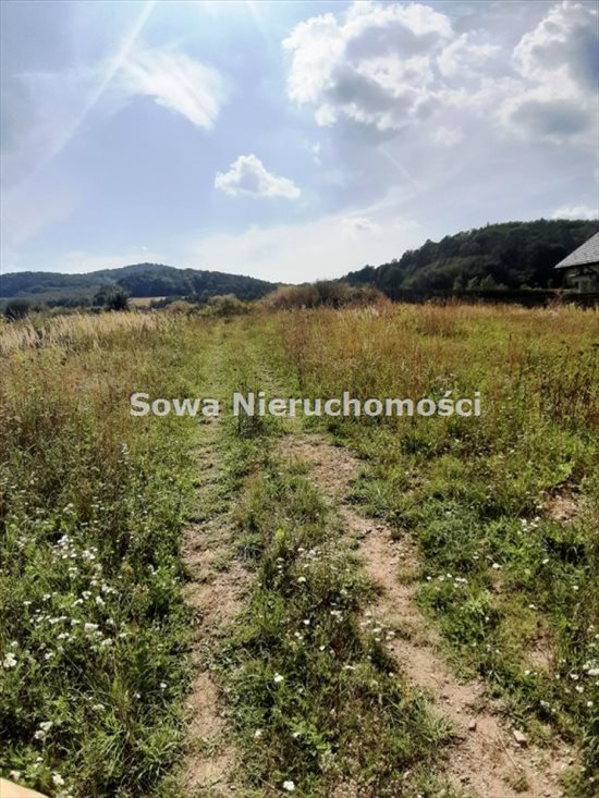 Działka inna na sprzedaż Wałbrzych, Poniatów 1 804m2 Foto 1