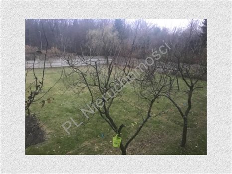Działka budowlana na sprzedaż Otrębusy 1 200m2 Foto 4