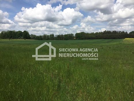 Działka budowlana na sprzedaż Trąbki Małe 3 800m2 Foto 4