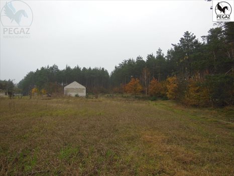 Działka budowlana na sprzedaż Lechlin 3 000m2 Foto 6