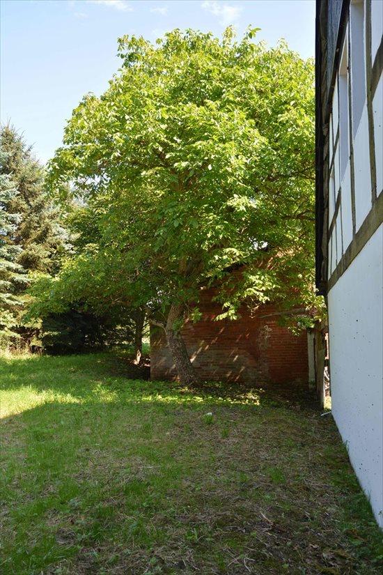 Dom na sprzedaż Jeżyczki, Jeżyczki 250m2 Foto 4