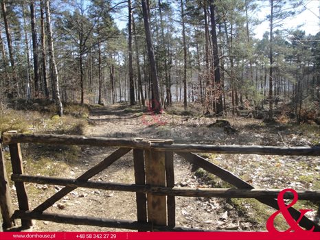 Działka leśna na sprzedaż Borek Kamienny 3 100m2 Foto 1