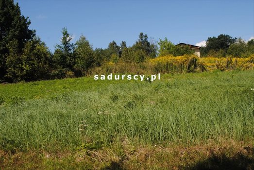 Działka budowlana na sprzedaż Mogilany, Leszczynowa 1 000m2 Foto 5