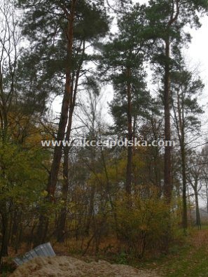 Działka budowlana na sprzedaż Żółwin 2 607m2 Foto 3