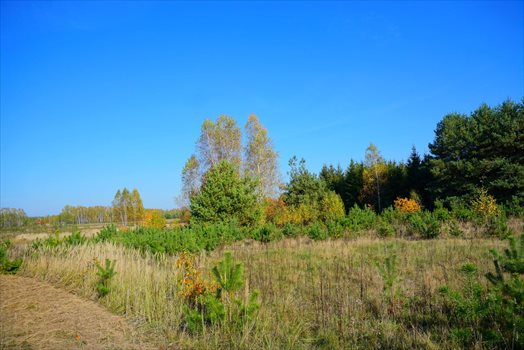 Działka budowlana na sprzedaż Jastrzębnik 1 500m2 Foto 13