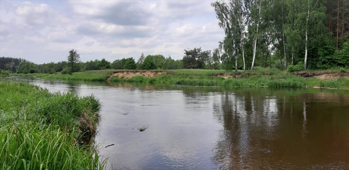 Działka budowlana na sprzedaż Starowola 2 082m2 Foto 10