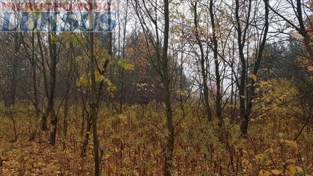 Działka budowlana na sprzedaż Sękocin Nowy 1 075m2 Foto 4