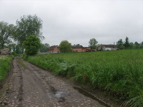 Działka budowlana na sprzedaż Pyrzyce 1 256m2 Foto 3