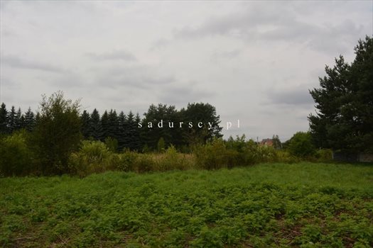 Działka budowlana na sprzedaż Kraków, Dębniki, Kliny, Spacerowa 2 609m2 Foto 10