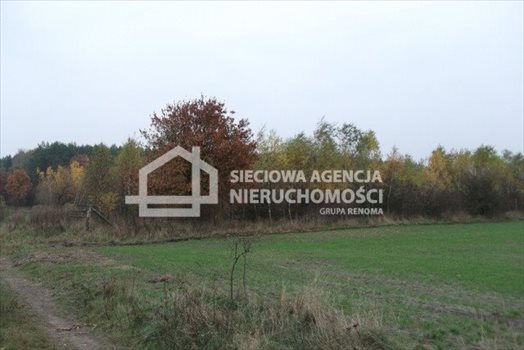 Działka leśna na sprzedaż Stare Gronowo 49 000m2 Foto 11