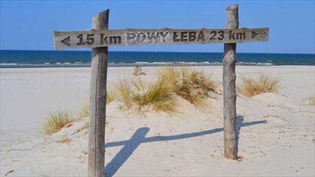 Działka inna na sprzedaż Smołdziński Las 7 000m2 Foto 4
