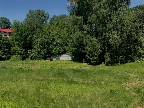 Działka budowlana na sprzedaż Bielsko-Biała, Chlebowa 1 396m2 Foto 2