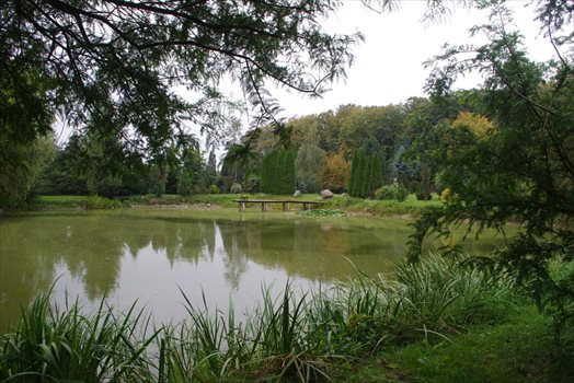 Działka budowlana na sprzedaż Wola Pniewska 6 200m2 Foto 13