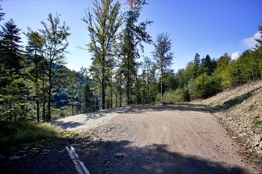 Działka inwestycyjna na sprzedaż Międzybrodzie Żywieckie 5 596m2 Foto 5
