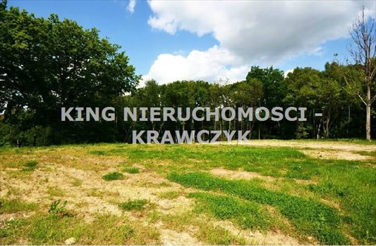 Działka inna na sprzedaż Szczecin, Bukowo 19 000m2 Foto 2