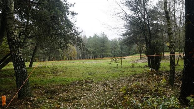 Działka budowlana na sprzedaż Dobrzewino, Chłopska 1 910m2 Foto 4