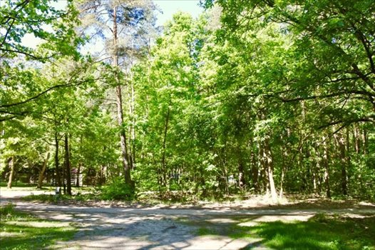 Działka budowlana na sprzedaż Sokolniki-Las, Jagiellońska 982m2 Foto 10