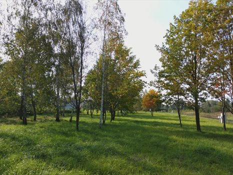 Działka budowlana na sprzedaż Budy-Grzybek 942m2 Foto 9