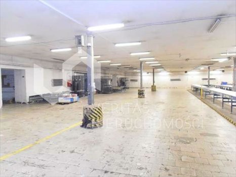 Lokal użytkowy na sprzedaż Katowice, Dolina Trzech Stawów 3 006m2 Foto 3