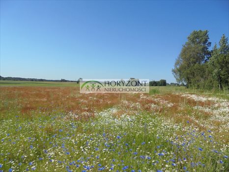 Działka budowlana na sprzedaż Małkowo 1 300m2 Foto 3