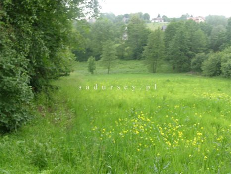 Działka rolna na sprzedaż Kraków, Podgórze, Romana Żelazowskiego 2 410m2 Foto 7