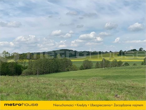 Działka inna na sprzedaż Trzepowo, Przywidz 1 007m2 Foto 2