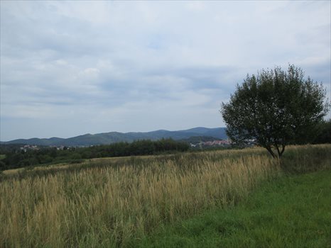 Działka inwestycyjna na sprzedaż Sanok, dąbrówka, Obwodnica sanoka 6 300m2 Foto 4