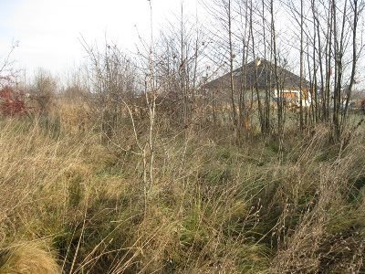 Działka budowlana na sprzedaż Bramki 960m2 Foto 4