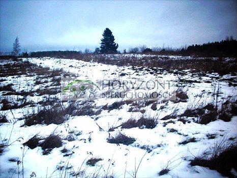 Działka budowlana na sprzedaż Bojano 1 000m2 Foto 7