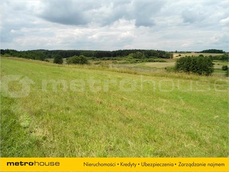 Działka inna na sprzedaż Jankowo, Pobiedziska 27 000m2 Foto 2