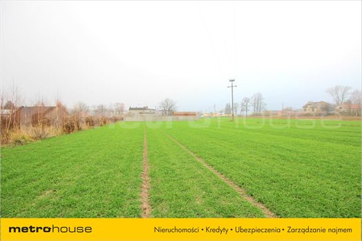 Działka inna na sprzedaż Gospodarz, Rzgów 3 385m2 Foto 3