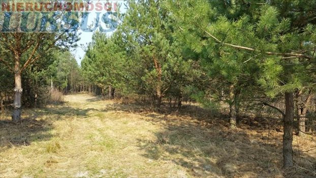 Działka budowlana na sprzedaż Łoś, Łoś 1 000m2 Foto 1