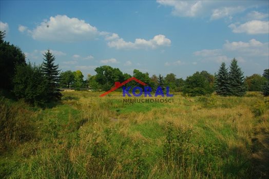 Działka budowlana na sprzedaż Tarnowskie Góry, Sowice, Korczaka 3 988m2 Foto 12