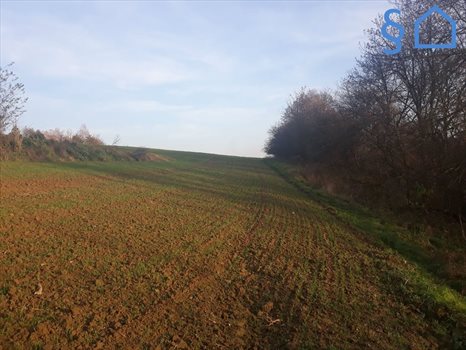 Działka budowlana na sprzedaż Sułkowice 900m2 Foto 7