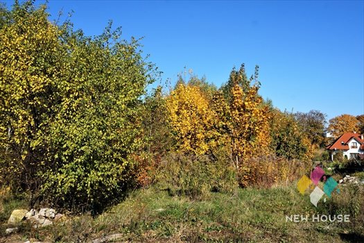 Działka budowlana na sprzedaż Jemiołowo 1 475m2 Foto 1