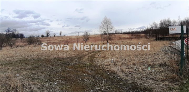 Działka inna na sprzedaż Wałbrzych, Biały Kamień 8 563m2 Foto 5