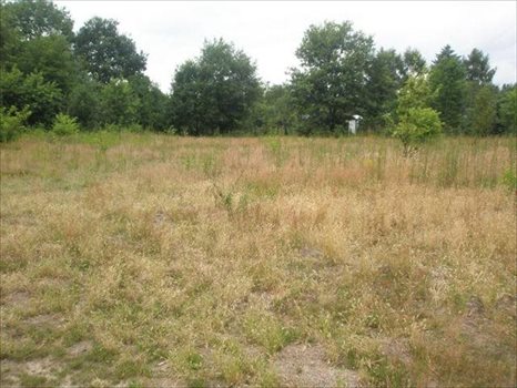 Działka inna na sprzedaż Warszawa, Wawer, Borowiecka 5 603m2 Foto 4