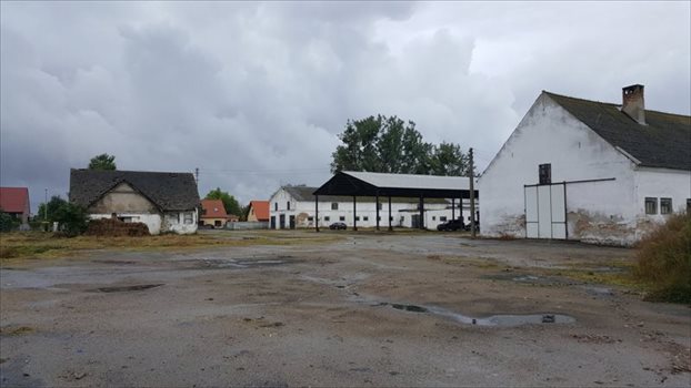Lokal użytkowy na sprzedaż Szamotuły, Ludwikowo 4 200m2 Foto 2