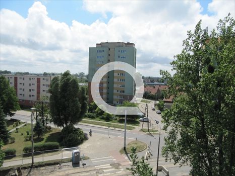 Lokal użytkowy na wynajem Gdańsk, Przeróbka 797m2 Foto 4