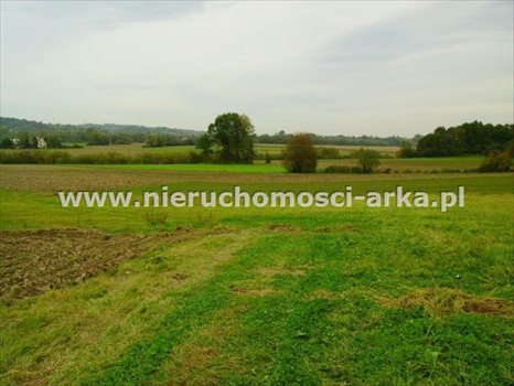 Działka budowlana na sprzedaż Lubomierz 2 000m2 Foto 2